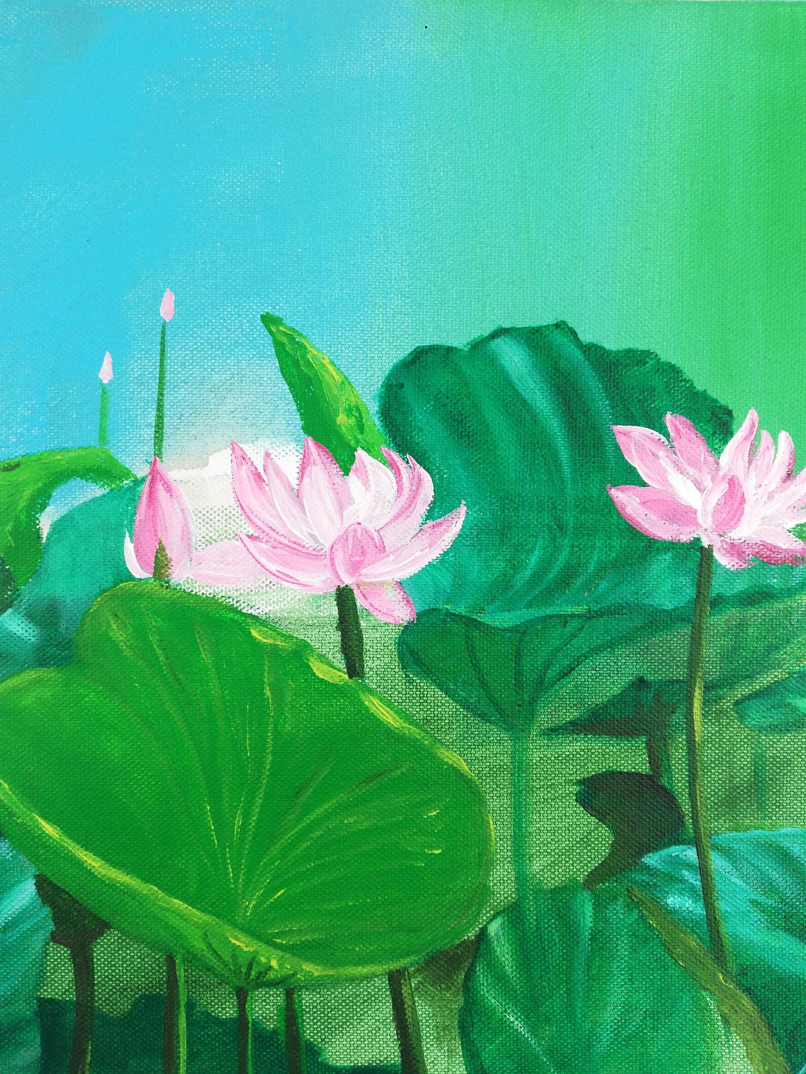 Painting of pink lotus flowers with green leaves on a blue and green gradient background